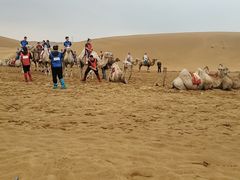 -银肯塔拉沙漠生态旅游景区