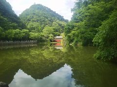 -黔灵山公园