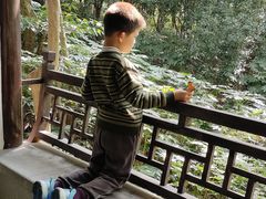 -杭州半山国家森林公园