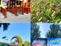 -东南花都花博园