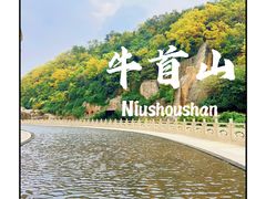 -牛首山文化旅游区