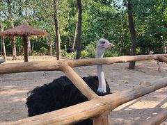 -大连森林动物园