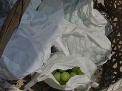 -马陆小张葡萄园农家乐