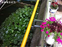 -珍宝蟹舫·巴城味道(巴城总店)