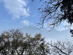 -秦岭终南山世界地质公园翠华山景区