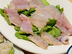 -金砂阿洲鱼册店