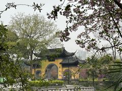 -红梅公园