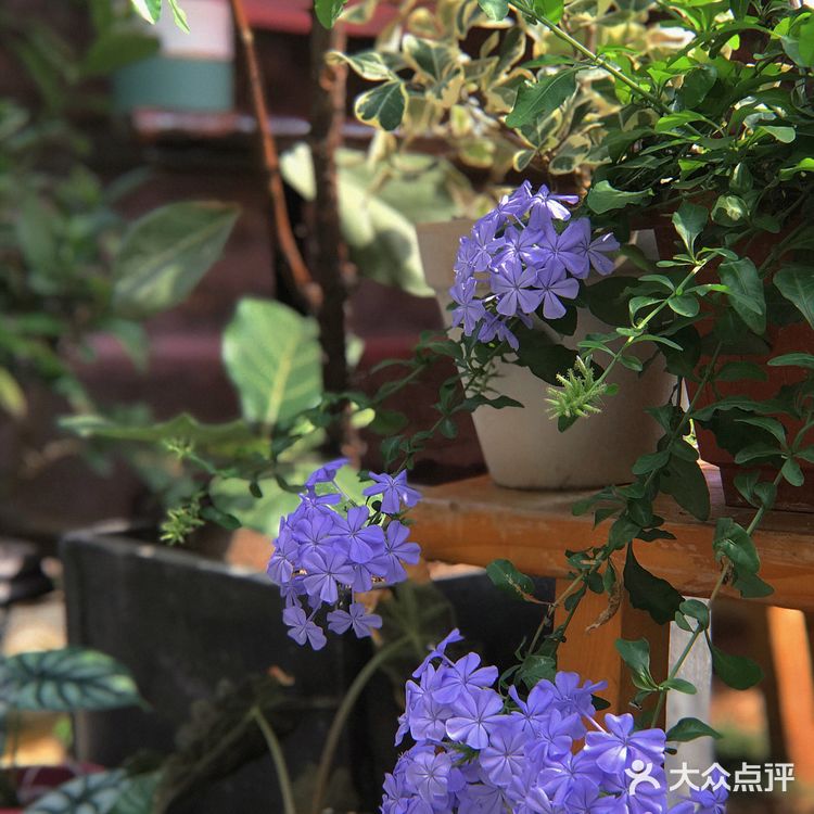 打卡|石碣水南旧屋改造小店