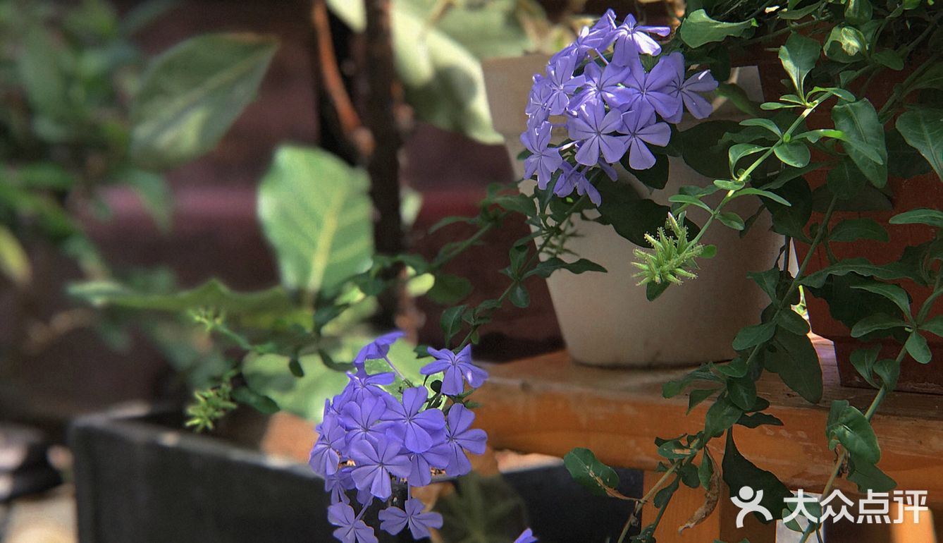 打卡|石碣水南旧屋改造小店