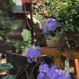 打卡|石碣水南旧屋改造小店