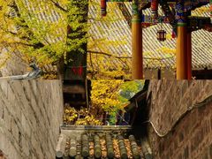 -慈云寺