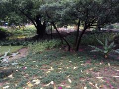 -晓港公园