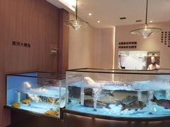 -阿庄新豫菜(航海东路店)