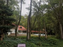 -深圳国际园林花卉博览园