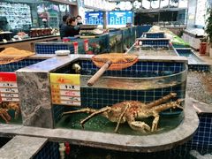 水产区-骏莱海鲜鱼港(五角场店)