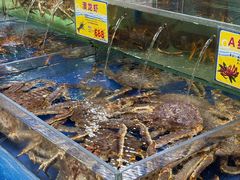 -东江海鲜酒家(艺都分店)