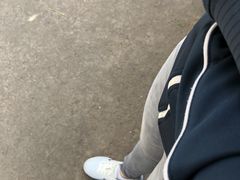 -奥兰多迪士尼动物王国乐园