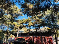 -潭柘寺景区