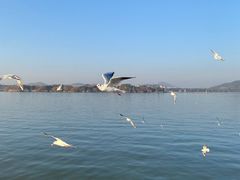 -怡莱酒店(无锡火车站南广场店)