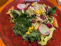 田园时蔬沙拉-布拉格餐厅· 中欧捷克菜(全国首店)