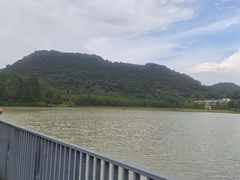 -飞来湖湿地公园