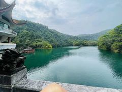 -鼎湖山风景区