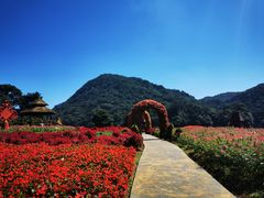 -广州市石门国家森林公园