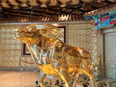 -华西龙希大酒店旅游观光区