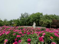 -丰台花园