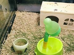 -宠物世家(仲盛世界商城店)