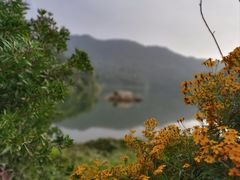 -广州市石门国家森林公园