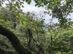 -山王坪喀斯特国家生态公园