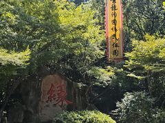 -杭州黄龙洞