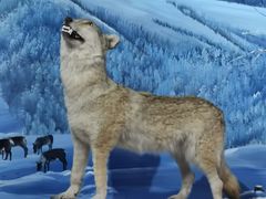 -呼伦贝尔民族博物馆