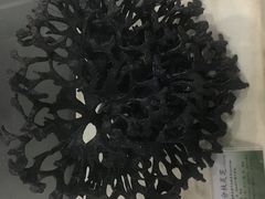 -广东中医药博物馆