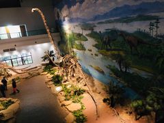 -自贡恐龙博物馆