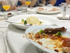 -丁老爷子苏香圆