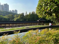 -龙头寺公园