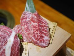 -肉魁屋·烧肉·烧鸟·酒场(高新店)