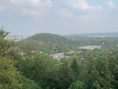 -上海佘山国家森林公园西佘山园