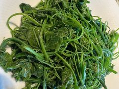 清炒丝瓜尖-那家小馆•北京菜•烤鸭(香山店)