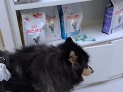 -达爱动物医院·犬猫分区·CT·复杂眼科(远洋山水分院)