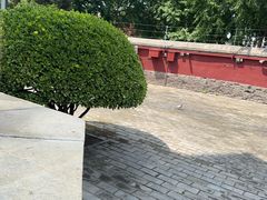-正定古城-开元寺