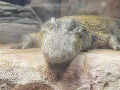 -波塞冬旅游度假区