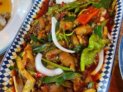 -柴窝堡22号辣子鸡·传承新疆菜