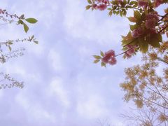 -杭州植物园