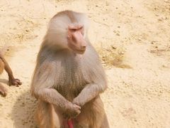 -杭州野生动物世界