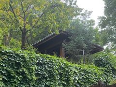 -麦积山温泉