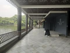 -荔湾湖公园
