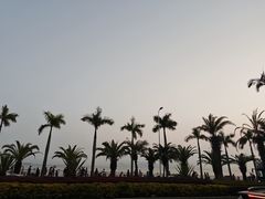 -白城沙滩